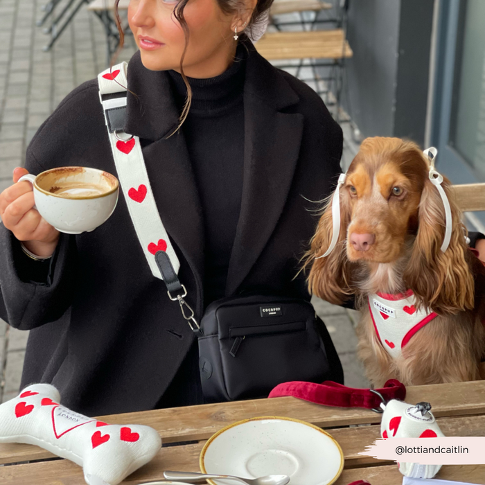 Woman in black at a cafe with coffee sits next to a brown dog wearing a beige knitted harness.