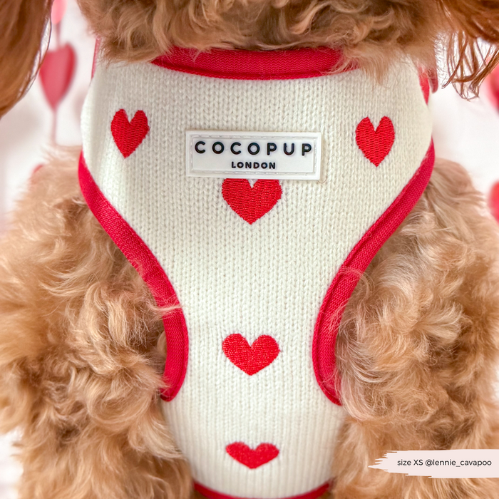 Dog wearing a white Cocopup London harness with red hearts and red trim.