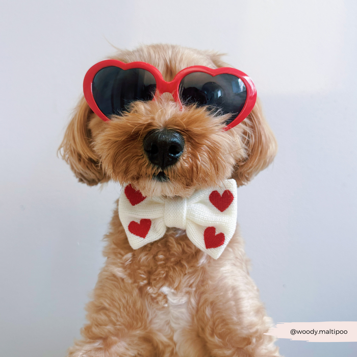 Dog in red heart sunglasses wears Cocopup London bow tie with red heart pattern.