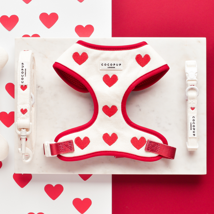 Dog harness, leash, and collar set with red hearts pattern on marble surface with heart-shaped accents in background.