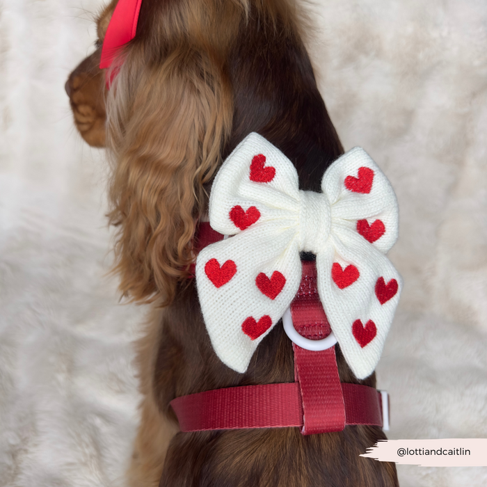 Brown dog facing away in a red harness, wearing a white bow tie with red hearts from Cocopup London.