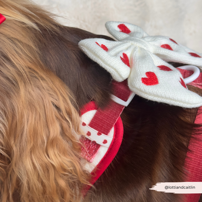 Dog in a red harness with Cocopup London’s knitted pink heart bow tie.