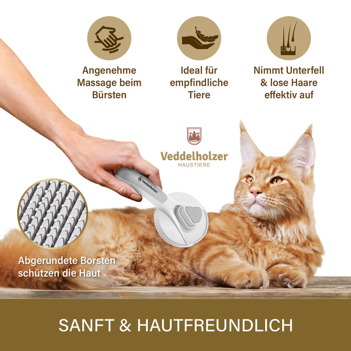 Hand bürstet eine liegende rote Maine-Coon-Katze; Detailkreis zeigt abgerundete Borsten, die die Haut schützen