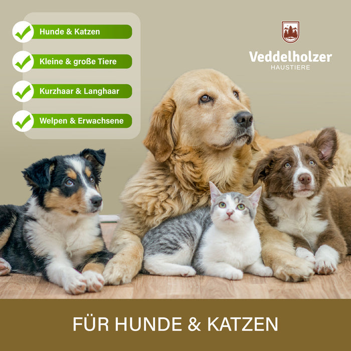 Golden Retriever, zwei Welpen und eine Katze liegen zusammen; Häkchenliste: kleine und große Tiere, Kurz- und Langhaar, Welpen