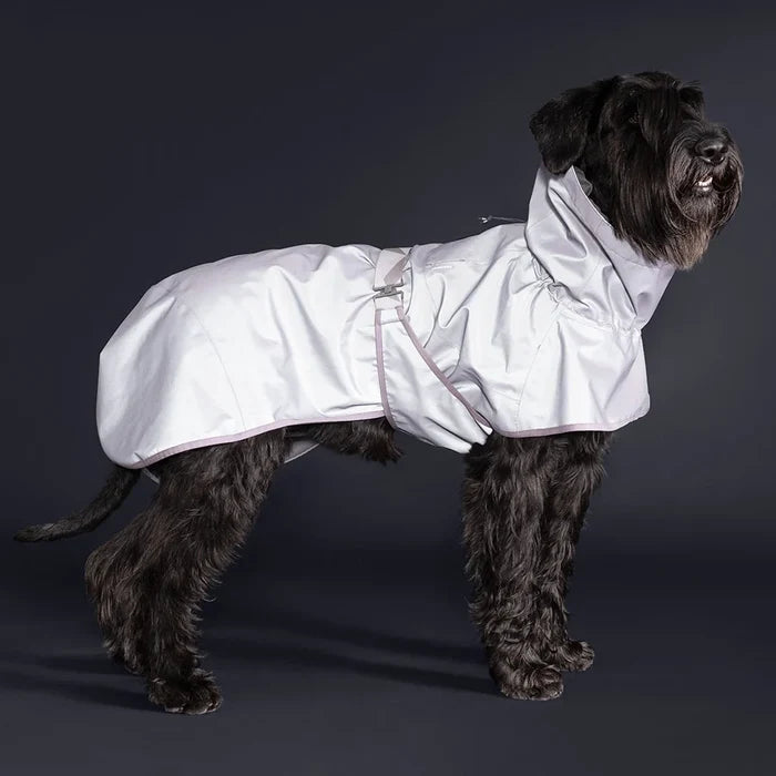 Dog wearing the Hurtta Mudventure Reflective coat with the reflective shell lit up