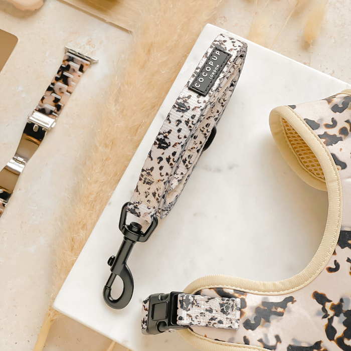 Ivory tortoiseshell adjustable neck harness, lead, and collar bundle with matching watch band on marble surface.