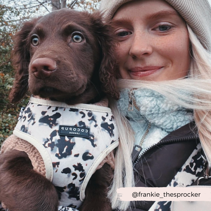 A woman wearing a winter coat, beanie, and scarf holds a brown puppy dressed in the Cocopup London Ivory Tort Adjustable Neck Harness. They are outside with trees in the background. The text "@frankie_thesprocker" is displayed in the bottom right corner.