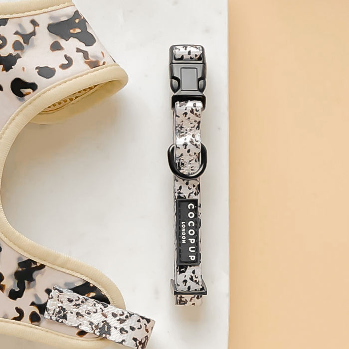 Ivory Tort dog collar with beige and black leopard print on a white and beige background, by Cocopup London.