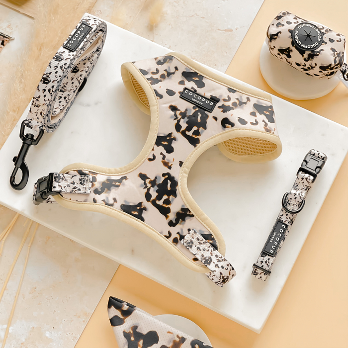 Ivory tortoiseshell dog collar and matching accessories from Cocopup London displayed on a marble surface.