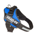 Julius-K9 IDC Powerharness in blue, front view