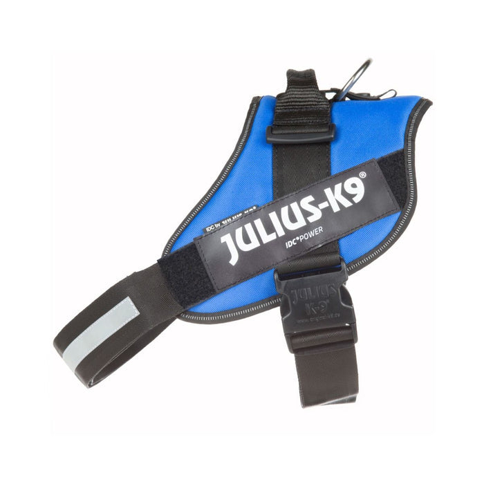 Julius-K9 IDC Powerharness in blue, rear view with reflective edging