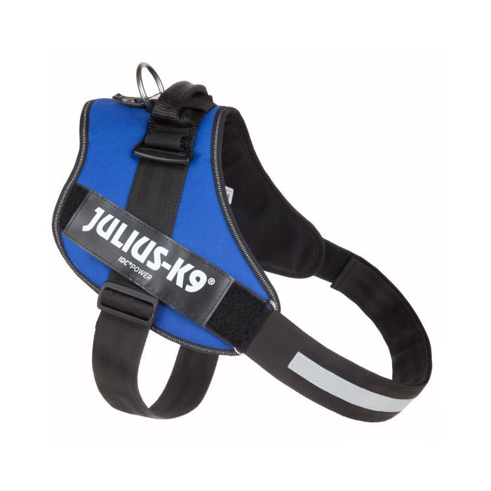 Julius-K9 IDC Powerharness in blue, underside showing chest strap and buckle