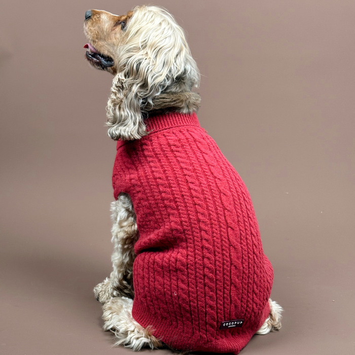 Wavy-furred dog wears a maroon cable-knit Cocopup London jumper, sitting sideways against a brown background.