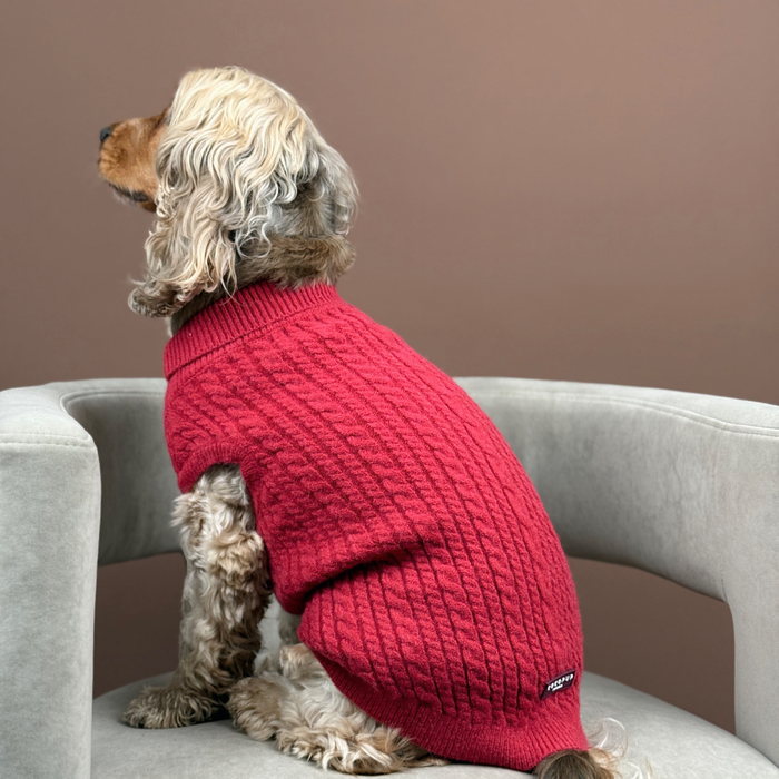 Curly-haired dog wearing a cable knit mulled wine jumper sits on a gray chair against a brown background.