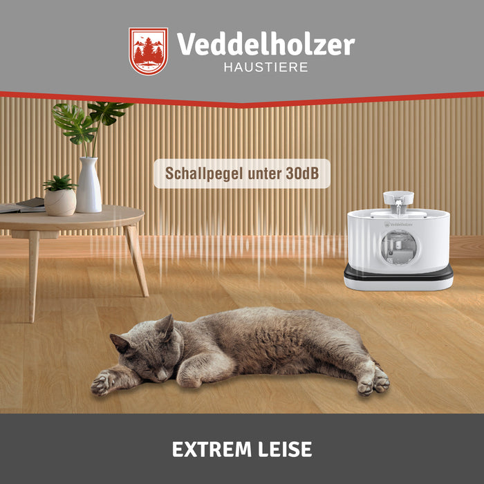 Graue Katze schläft auf dem Holzboden neben dem laufenden Brunnen – Bildtext „Schallpegel unter 30dB“
