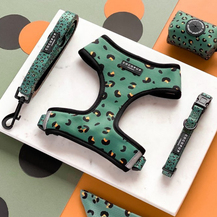 A Cocopup London Khaki Leopard Adjustable Neck Harness, Lead & Collar Bundle is beautifully displayed on a marble surface. This set includes a harness, leash, waste bag dispenser, and collar. The backdrop showcases orange and black circular patterns on green and grey surfaces.