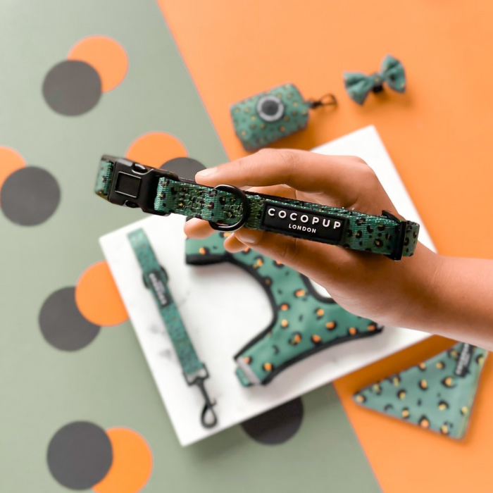 A person's hand holds a green dog collar with a "Cocopup London" label. The background features a green and orange polka dot pattern, along with the matching Khaki Leopard Adjustable Neck Harness, leash, poop bag holder, and bow tie—all showcasing a similar green and black spotted design.