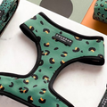 khaki leopard dog harness