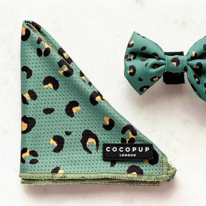 A khaki leopard print Cocopup London Bandana with a matching bow tie beside it. Both dog accessories are displayed on a white, marble-like surface.