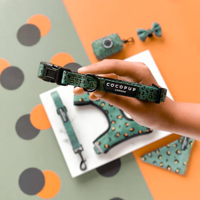 Hand holding Cocopup London khaki leopard collar with matching adjustable accessories on a patterned surface.