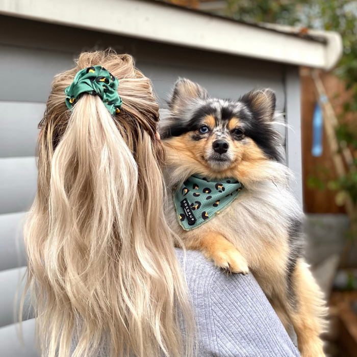 Woman with long blonde hair wears a khaki leopard print scrunchie by Coconut Lane, walking a dog in a green bandana.