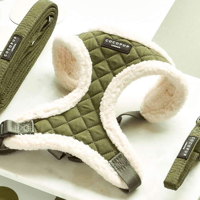 Khaki quilted harness, lead, and collar set by Cocopup London displayed on a white background.
