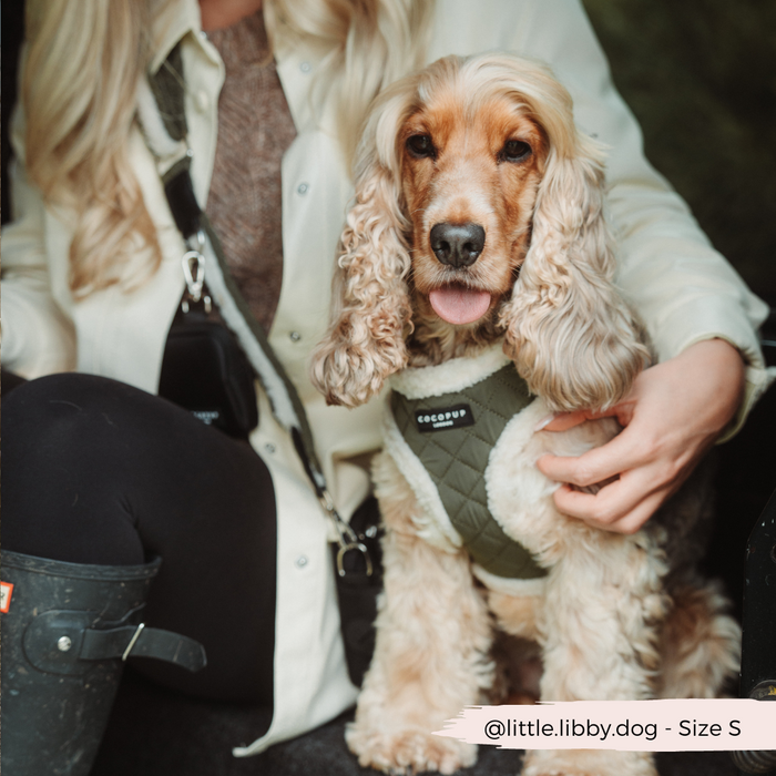 Tan cocker spaniel in a khaki quilted Cocopup London harness sits on a womans lap, her arm gently around the dog.