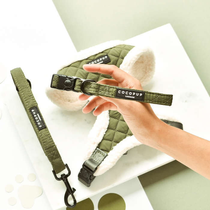 Hand holding a khaki quilted dog collar, harness, and leash set from Cocopup London.