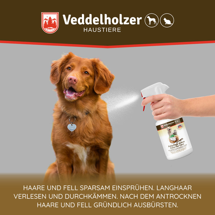 Hand sprüht das Fellspray auf einen braunen Retriever – Anleitung: sparsam einsprühen, durchkämmen, danach ausbürsten