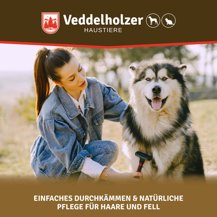 Junge Frau in Jeansjacke bürstet draußen auf der Wiese einen Malamute – Bildtext „Einfaches Durchkämmen“