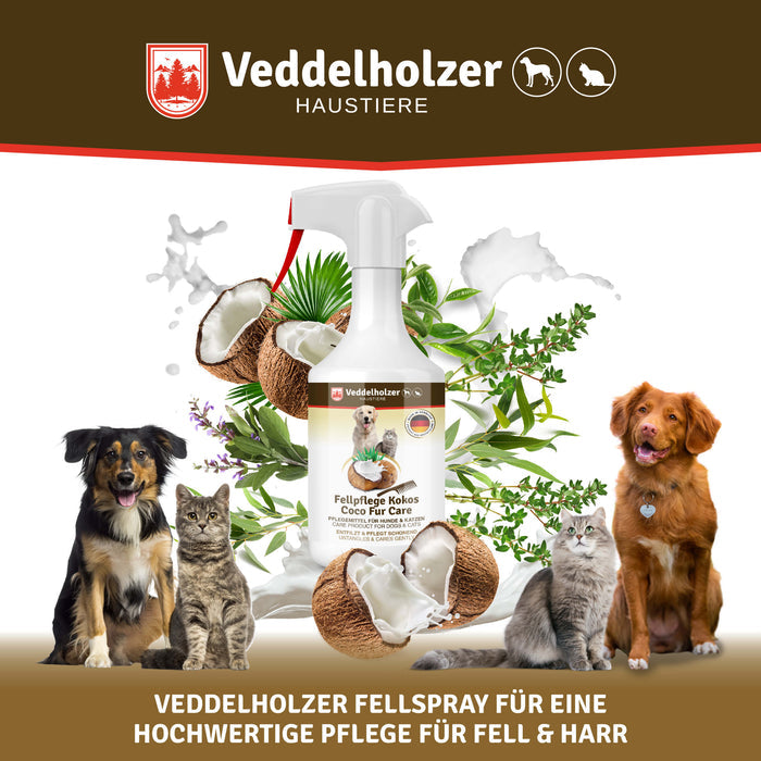Sprühflasche zwischen Kokosnüssen und grünen Kräutern, ringsum zwei Hunde und zwei Katzen als Anwendungstiere