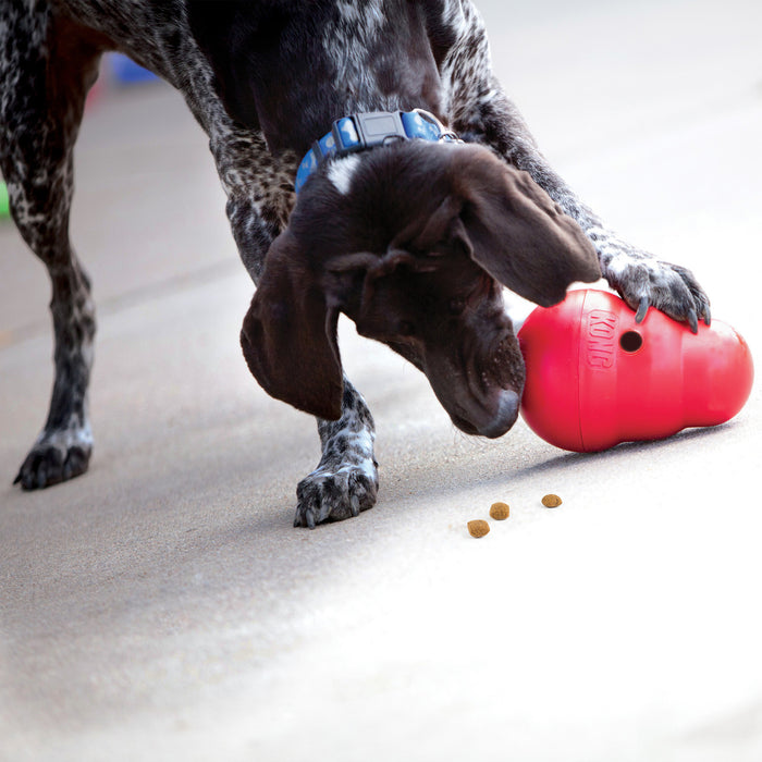 Dog nosing a KONG Wobbler on the floor to release kibble