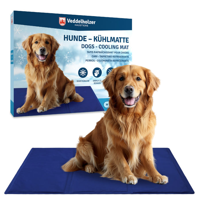 Golden Retriever sitzt auf einer blauen Kühlmatte, dahinter die Verpackung „Hunde-Kühlmatte“ mit Eiskristall-Symbolen