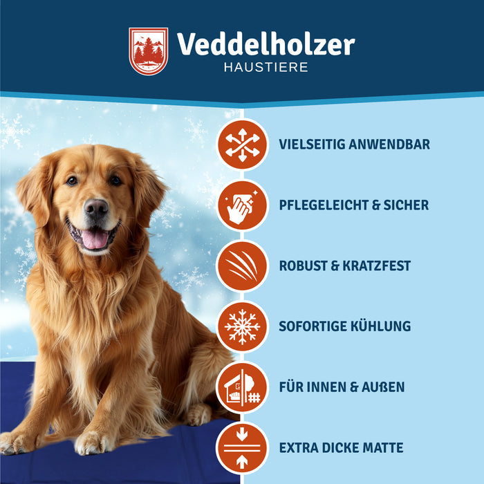 Golden Retriever auf blauer Matte, daneben sechs Merkmale: pflegeleicht, kratzfest, sofortige Kühlung, innen und außen