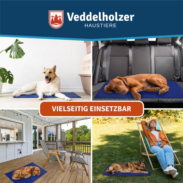 Vier Einsatzorte: Hunde liegen auf der Matte im Wohnraum, auf der Autorückbank, auf der Terrasse und im Garten