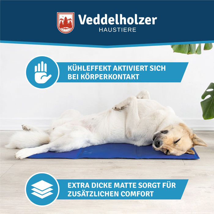 Heller Labrador schläft ausgestreckt auf der blauen Matte – Kühleffekt startet bei Körperkontakt, extra dicke Matte
