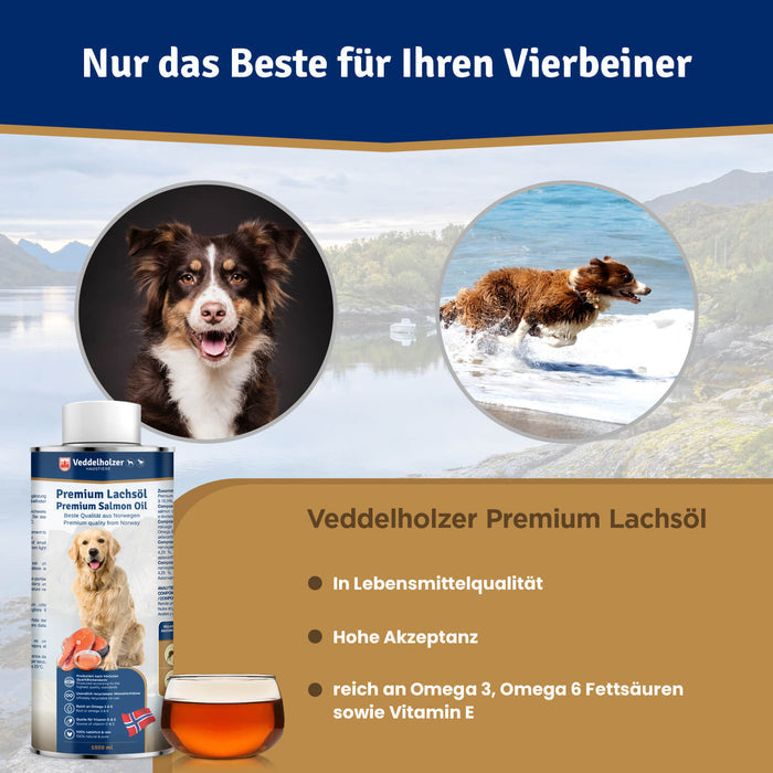 Australian Shepherd im Porträt und beim Sprung durchs Wasser, dazu Lebensmittelqualität, Omega 3 und 6 sowie Vitamin E
