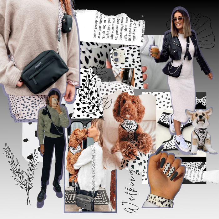Collage with black Large Dog Walking Bag, dalmatian print, women holding dogs, and stylish dog outfits.
