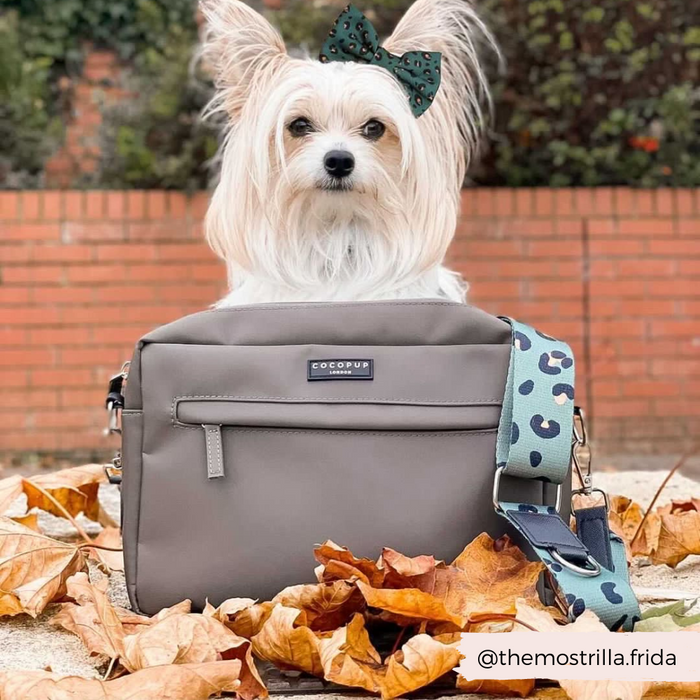 grey-dog-walking-bag-with-khaki-leopard-bag-strap-and-white-dog-behind