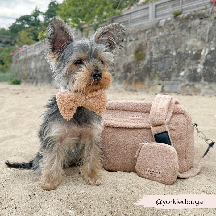 Tan Dog Walking Bag by Cocopup London on sand beside a Yorkshire Terrier wearing a tan bow tie.