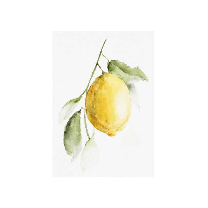 Lemonade I | 5x7