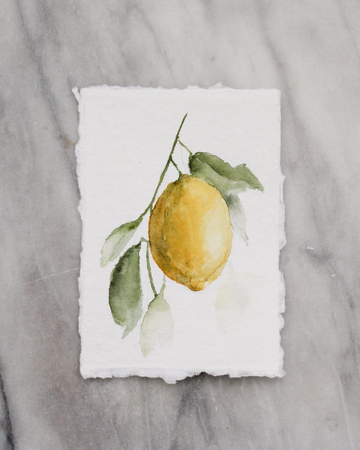 Lemonade I | 5x7