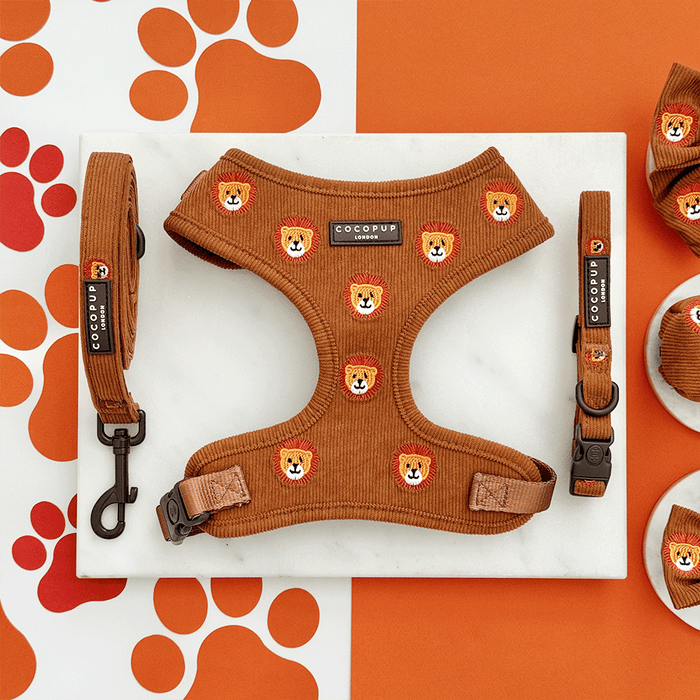 A brown / orange corduroy dog harness, collar and lead, with embroidered lion faces. With brown hardware.