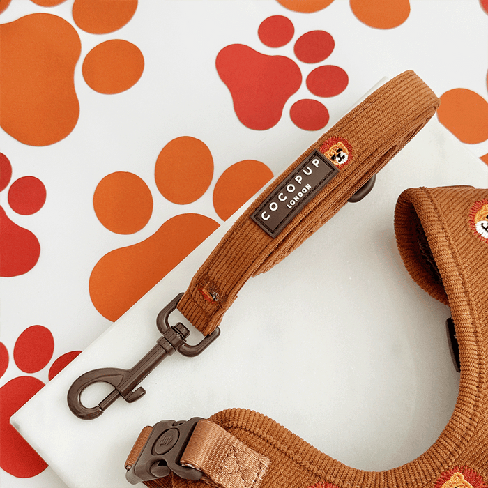 A brown / orange corduroy dog lead with embroidered lion faces. With brown hardware.