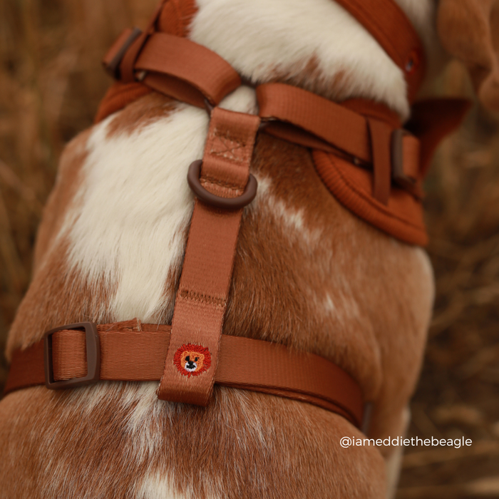 Leo the Lion Adjustable Neck Harness, Lead & Collar Bundle
