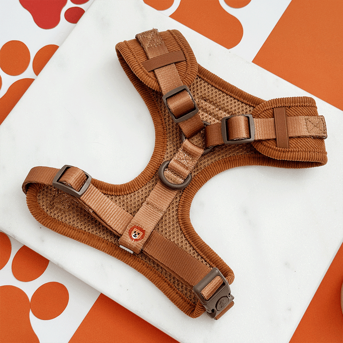 A brown / orange corduroy dog harness, with embroidered lion faces. With brown hardware.