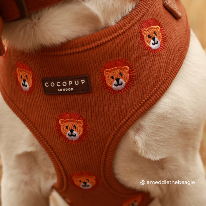 Leo the Lion Adjustable Neck HARNESS