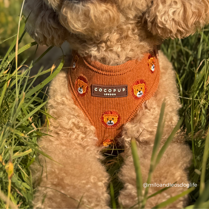 Leo the Lion Adjustable Neck HARNESS