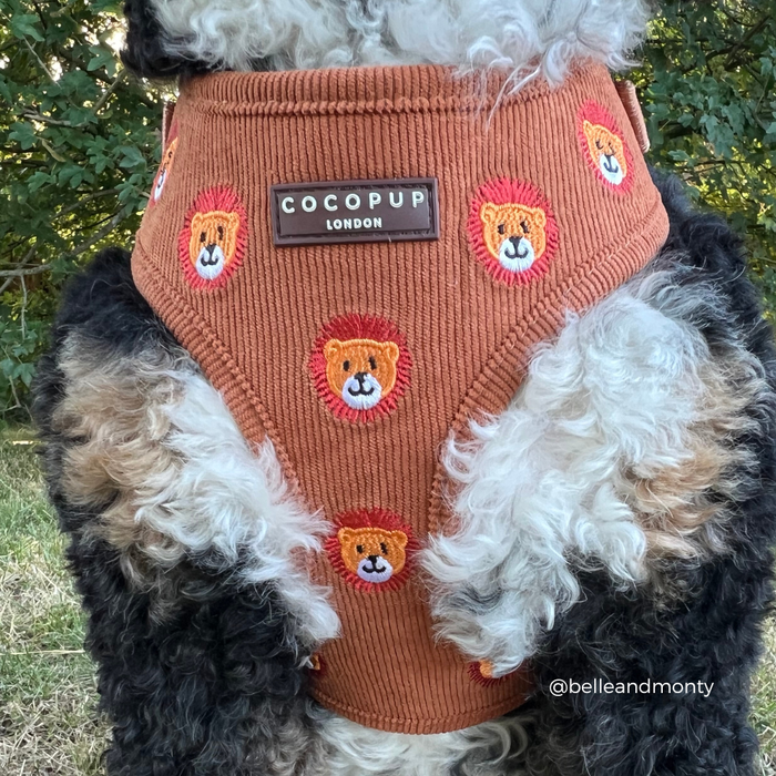 Leo the Lion Adjustable Neck HARNESS