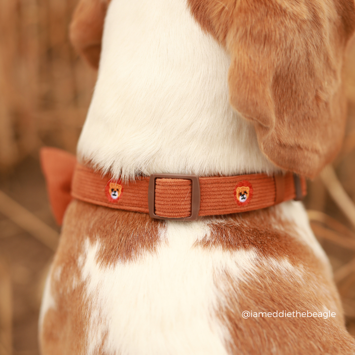 Leo the Lion COLLAR